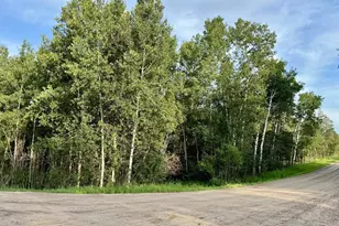 Tbd Holly Rd, Park Rapids, MN 56470 - Photo 1