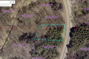 Lot 15 Block 2 Old Glory Dr NE, Alexandria, MN 56308 - Photo 1