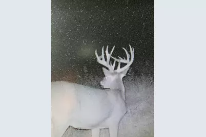 Tbd 208th Avenue, Erhard, MN 56534 - Photo 1