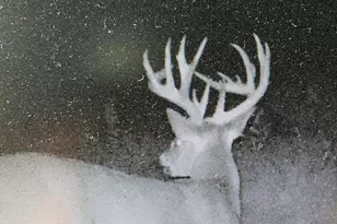 Tbd 208th Ave, Erhard, MN 56534 - Photo 1