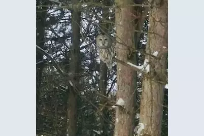 11691 115th Street N, Stillwater, MN 55082 - Photo 55