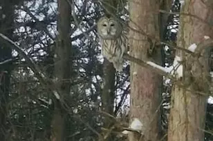 11691 115th St N, Stillwater, MN 55082 - Photo 55