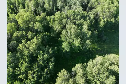 Tbd-3 Christmas Point Road NW, Walker, MN 56484 - Photo 7