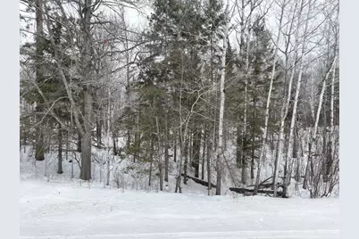 Tbd-3 Christmas Point Road NW, Walker, MN 56484 - Photo 11