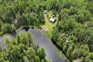 163 Rollick Creek, Crane Lake, MN 55725 - Photo 9