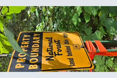 163 Rollick Creek, Crane Lake, MN 55725 - Photo 13