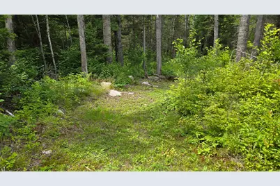 163 Rollick Creek, Crane Lake, MN 55725 - Photo 39