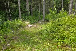 163 Rollick Creek, Crane Lake, MN 55725 - Photo 39