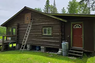 163 Rollick Creek, Crane Lake, MN 55725 - Photo 5