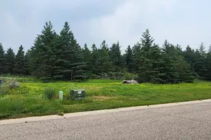 Lot 4 White Spruce Ln NW, Alexandria, MN 56308 - Photo 1
