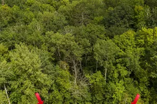 Tbd Deer Trail, Kathio Township, MN 56450 - Photo 1