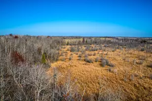 21740 Hwy 89 NW, Puposky, MN 56667 - Photo 59