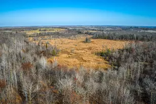 21740 Hwy 89 NW, Puposky, MN 56667 - Photo 51