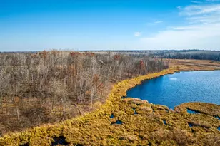 21740 Hwy 89 NW, Puposky, MN 56667 - Photo 33