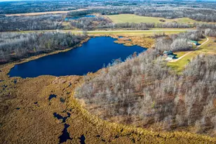 21740 Hwy 89 NW, Puposky, MN 56667 - Photo 27
