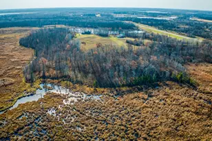 21740 Hwy 89 NW, Puposky, MN 56667 - Photo 55