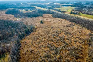 21740 Hwy 89 NW, Puposky, MN 56667 - Photo 49