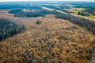 21740 Hwy 89 NW, Puposky, MN 56667 - Photo 57