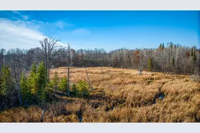 21740 Highway 89 NW, Puposky, MN 56667 - Photo 53