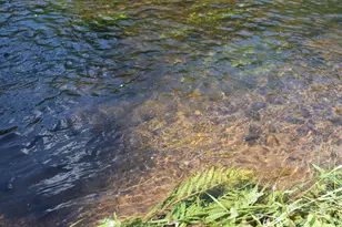 7460 Jordan Buck Trail, Danbury, WI 54830 - Photo 71