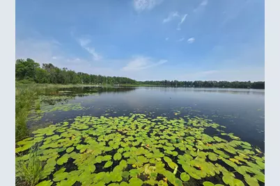 42870 328th Place, Palisade, MN 56469 - Photo 3