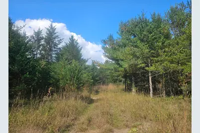 26912 Marias Way, Webster, WI 54893 - Photo 3