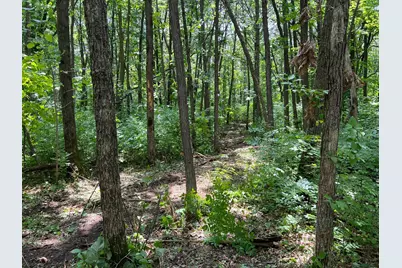 000 Cross Lake Rd, Pine City, MN 55063 - Photo 1