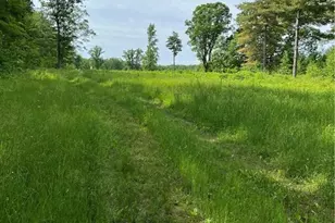 81 Acres Pinnow Rd, Bruce, WI 54819 - Photo 1