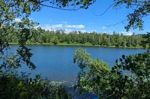 34270 Moose Trail, Lake George Township, MN 56458 - Photo 1