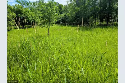 Xxx 3rd Avenue SW, Long Prairie, MN 56347 - Photo 1