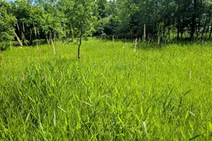 Xxx 3rd Ave SW, Long Prairie, MN 56347 - Photo 1