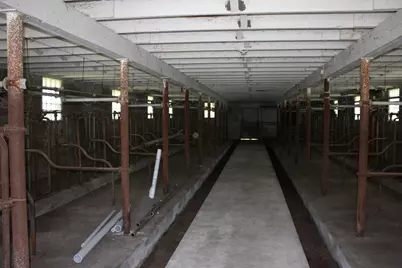 10698 625th Avenue, Emmons, MN 56029 - Photo 43