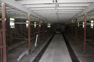 10698 625th Ave, Emmons, MN 56029 - Photo 43