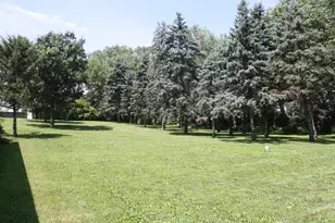 10698 625th Ave, Emmons, MN 56029 - Photo 39