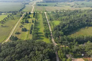 49459 300th St, Henning, MN 56551 - Photo 73