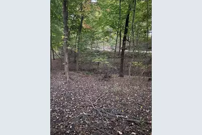 Tbd Tbd, Mazeppa, MN 55956 - Photo 5