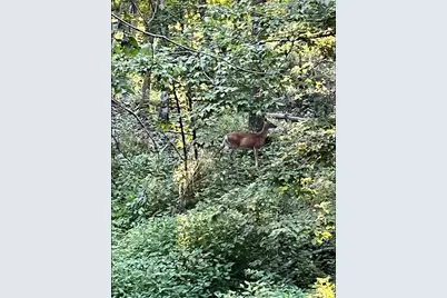 Tbd Tbd, Mazeppa, MN 55956 - Photo 7