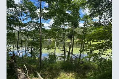 Tbd White Pine Lane, Motley, MN 56466 - Photo 1