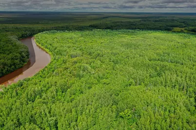 4049 County Road 79, International Falls, MN 56653 - Photo 7