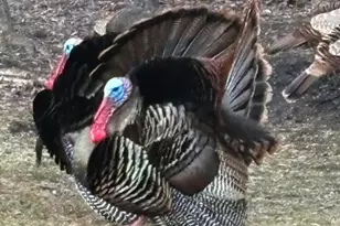 308 17th Ave S, Cold Spring, MN 56320 - Photo 39