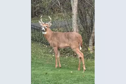 308 17th Avenue S, Cold Spring, MN 56320 - Photo 35