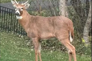 308 17th Ave S, Cold Spring, MN 56320 - Photo 35