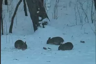 308 17th Ave S, Cold Spring, MN 56320 - Photo 37