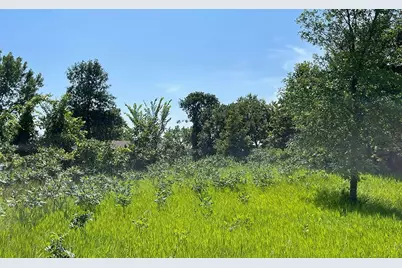 Lot 4 Seclusion Point Road, Dent, MN 56528 - Photo 5