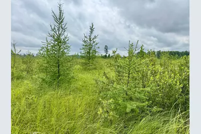Tbd 20th St. SW 20 St. SW, Pine River, MN 56474 - Photo 17