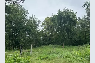 32752 County 16, Cushing, MN 56443 - Photo 5