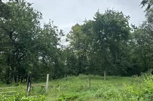 32752 County 16, Cushing, MN 56443 - Photo 5