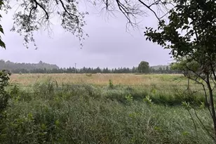 32752 County 16, Turtle Creek Twp, MN 56443 - Photo 11