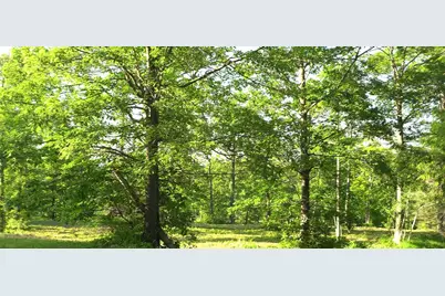 83Xxx - Lot 6 Ashwabay Heights Road, Bayfield, WI 54814 - Photo 5