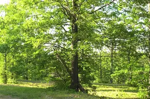 83Xxx - Lot 6 Ashwabay Heights Rd, Bayfield, WI 54814 - Photo 3